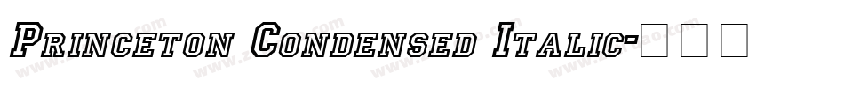 Princeton Condensed Italic字体转换